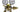Argon/CO2 Regulator - UL-Approved MV250 Series, Single Stage For Argon/CO2, Mix image