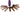 TIG Consumable Kit - TIG Consumable Standard Set for 26 Series Torch image