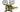 Oxygen Regulator image 0